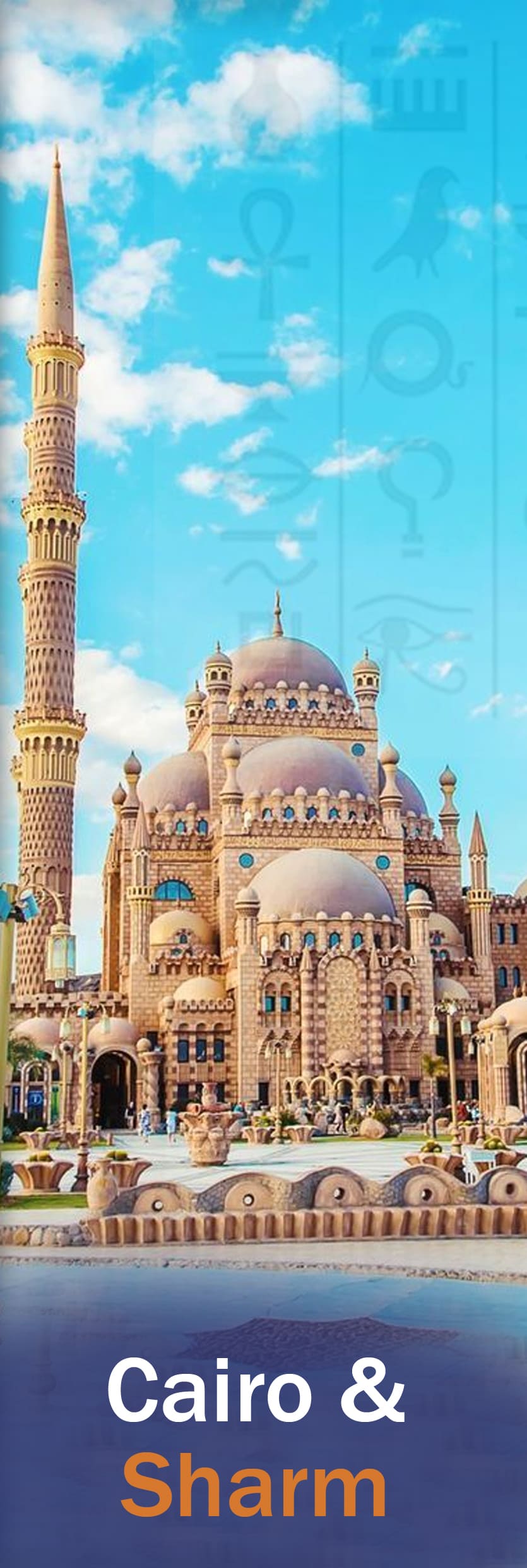 صورة 5